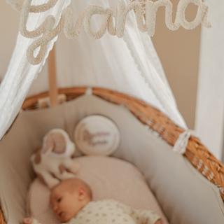Punniknaam teddy